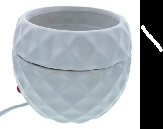 Electric oil burners Wild Candles